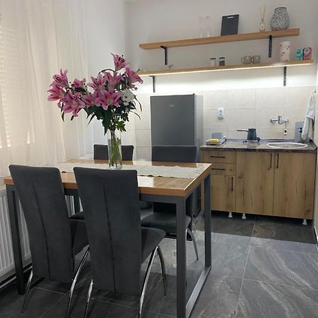 Bellas Apartmani Nowy Sad Zewnętrze zdjęcie